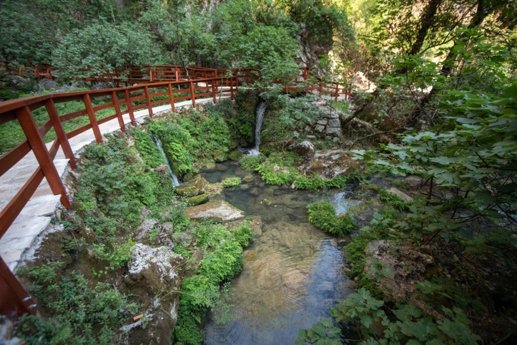 Avantura ispričana jezikom prirode u Grudama